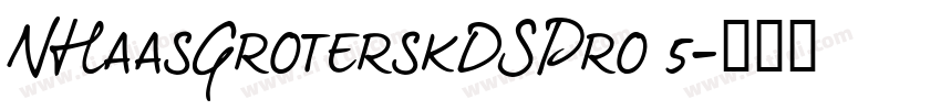 NHaasGroterskDSPro 5字体转换